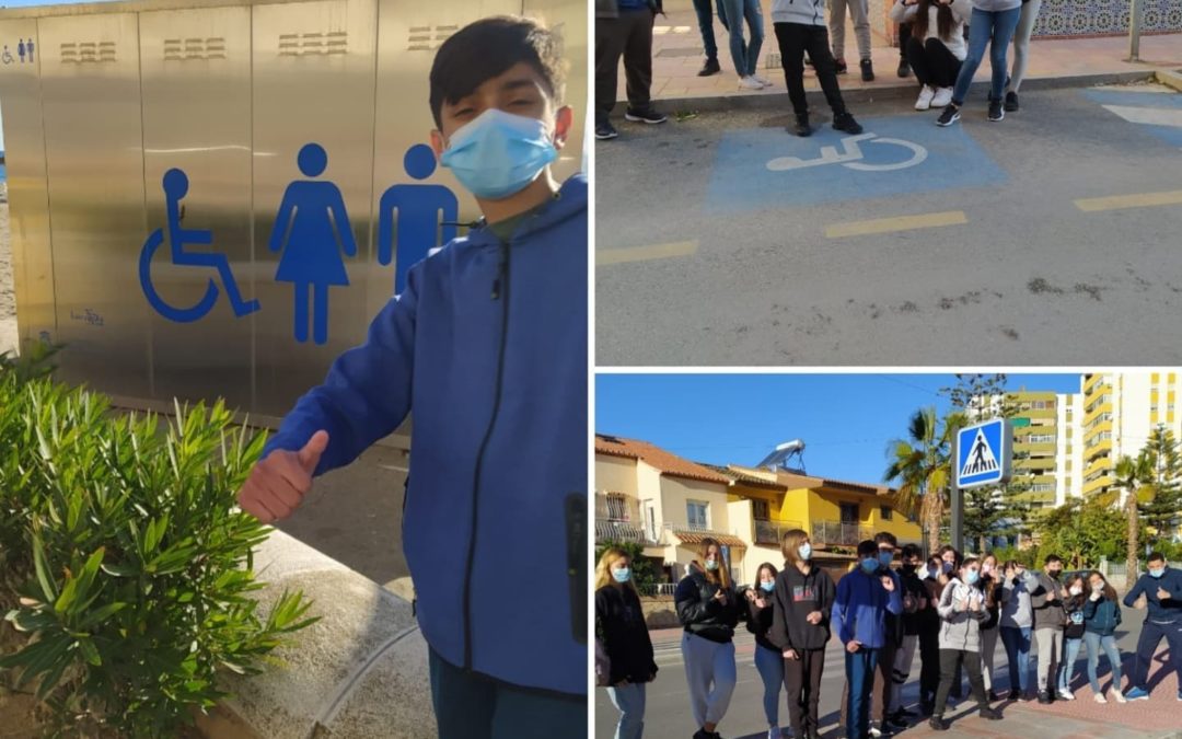 Diversidad funcional